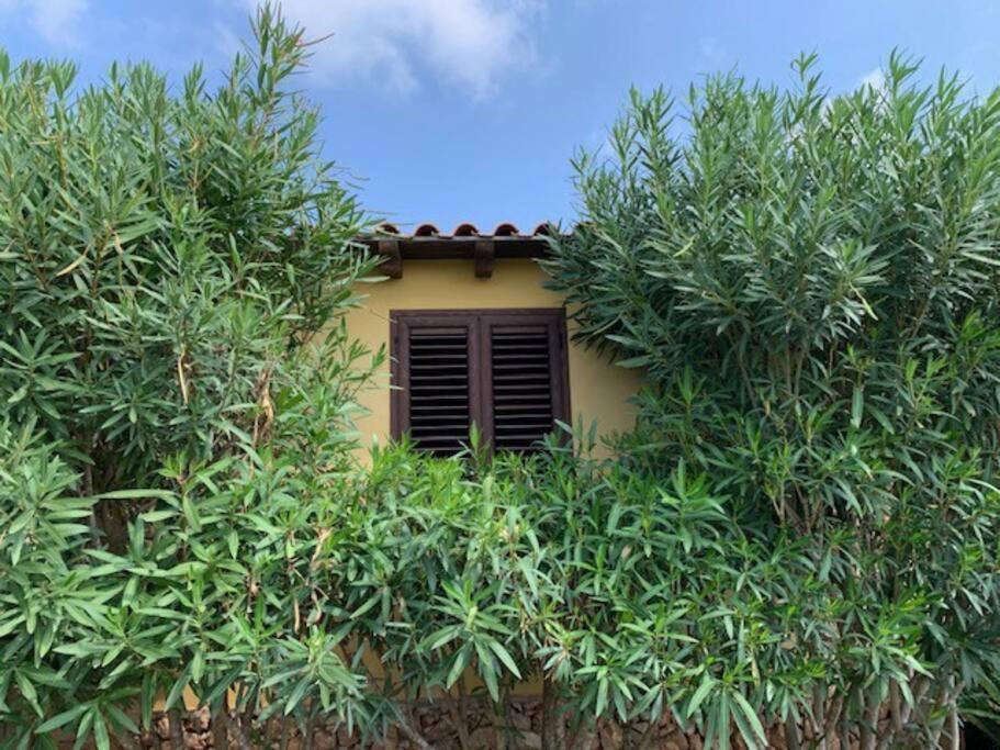 Villa Maveda, Un Dammuso Immerso Nel Verde LMP Exterior foto