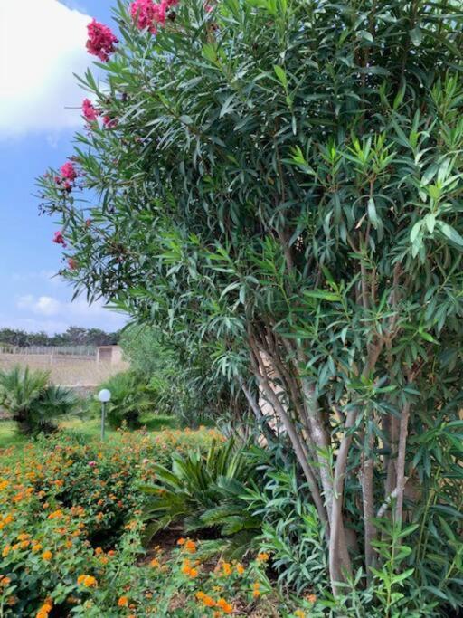 Villa Maveda, Un Dammuso Immerso Nel Verde LMP Exterior foto